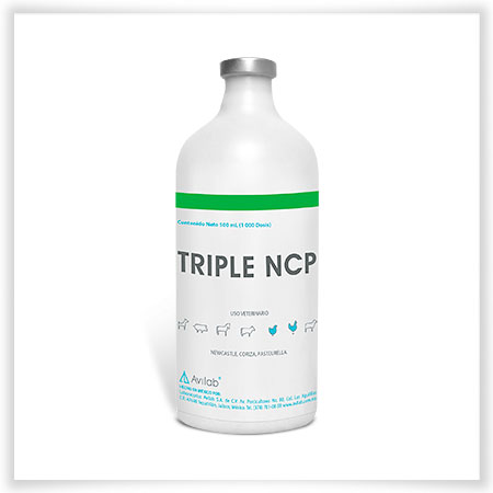 Triple NCP 20180215140524 760521