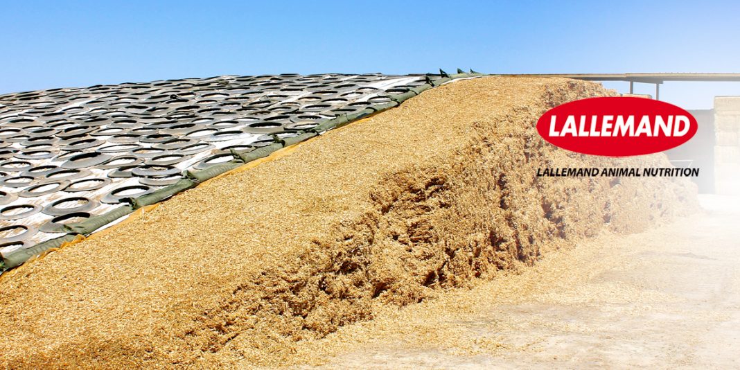 Seguridad del ensilado Tres Reglas de Seguridad Esenciales BM Editores