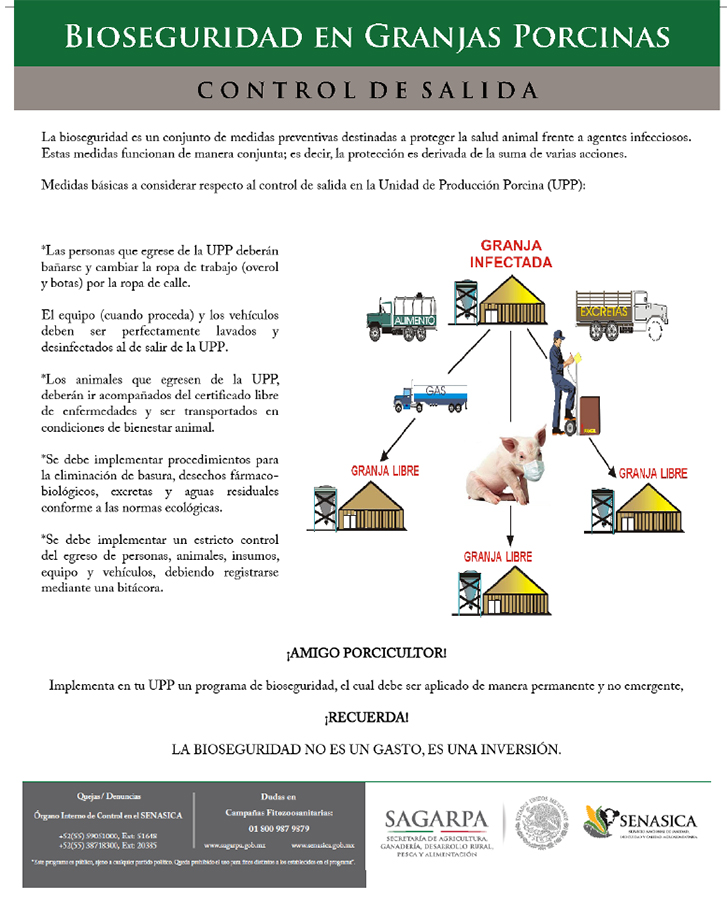 Bioseguridad En Unidades De Producci N Porcinas Bm Editores My Xxx