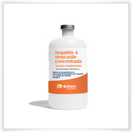 Hepatitis 4 newcastle concentrada vacuna emulsionada 20180305100327 283570