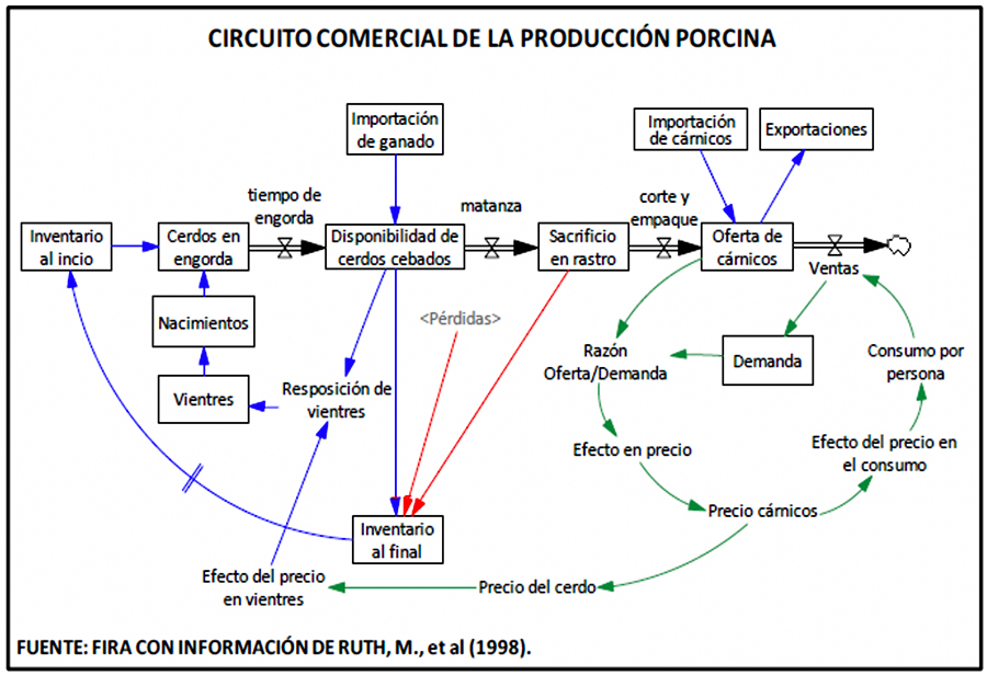 Gráfico 1. Circuito comercial de la producción porcina.