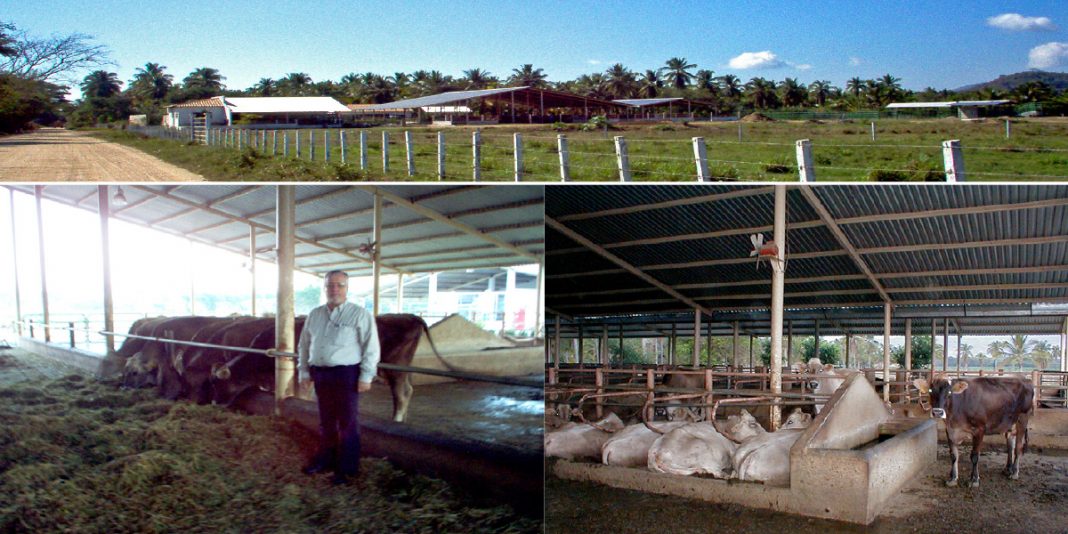 El Veterinario Especialista En El Manejo De La Salud Y Produccion De Los Povinos Bm Editores