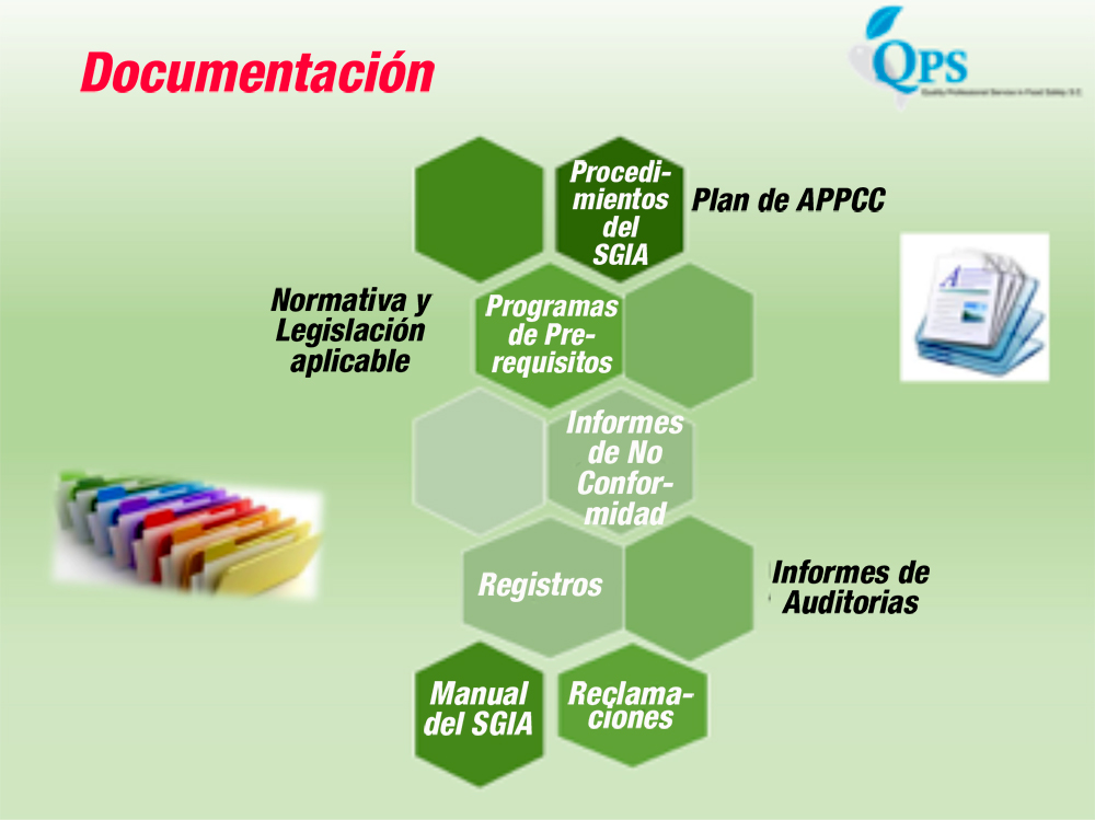 Tecnicas Y Procedimientos De Auditoria Lo Que Todo Auditor Debe Conocer Images 2228