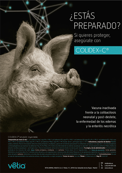 COLIDEX-C