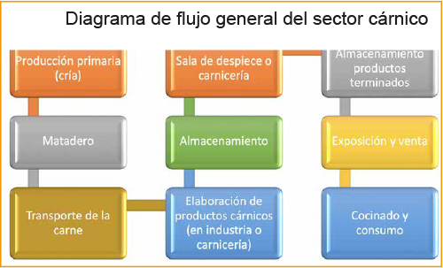 Aspectos Microbiologicos E Inocuidad De La Carne Fresca Bm Editores