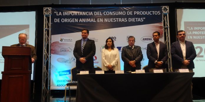 inauguracion-oficial