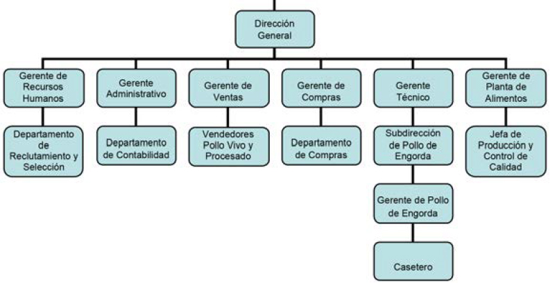 El proceso administrativo en una granja productora de carne de pollo - BM  Editores