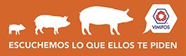 vimifos-banner-boletin