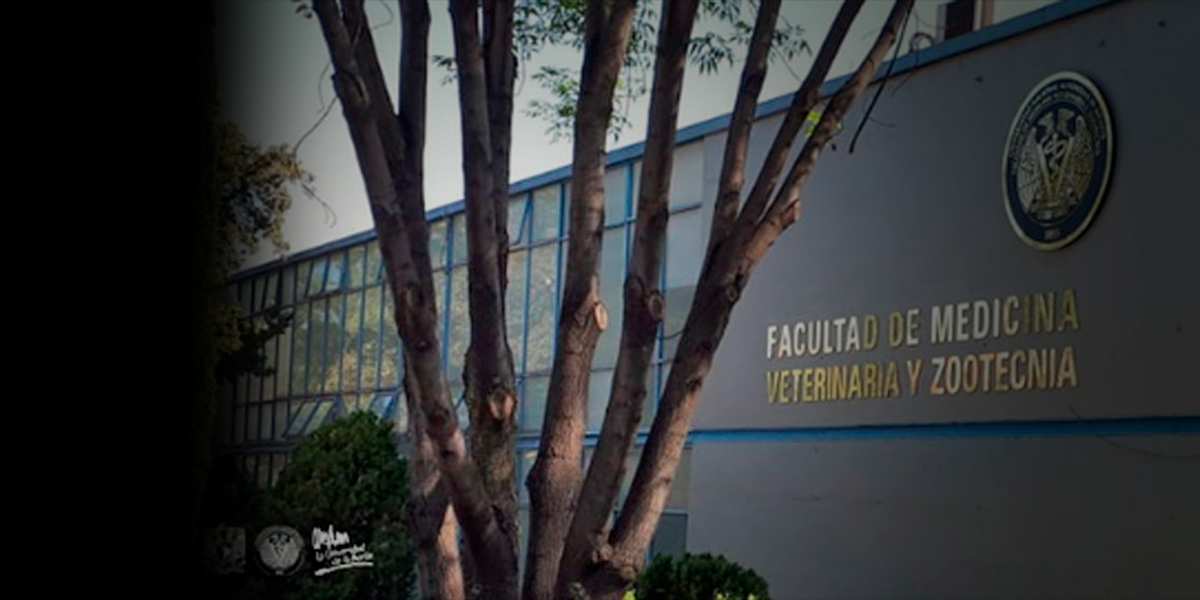 Breve Historia Del Nombre De La Facultad De Medicina Veterinaria Y ...