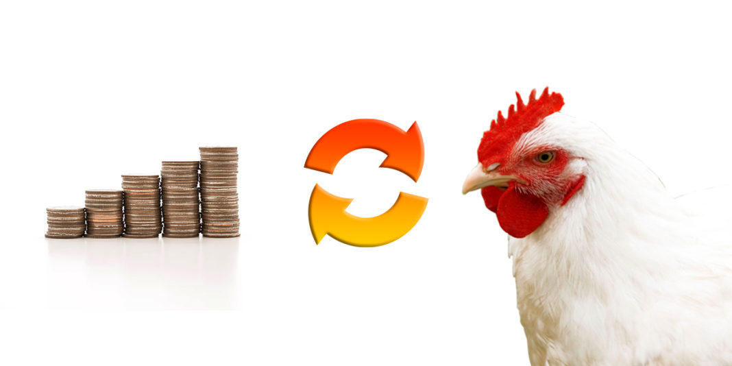Resultados de una granja productora de pollo en un ciclo económico - BM  Editores