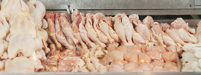 Perspectiva general de la producción de carne de pollo - BM Editores Perspectiva general de la producción de carne de pollo - BM Editores