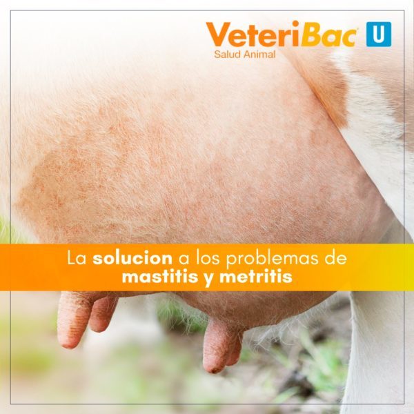 veteribac-u-bovinos