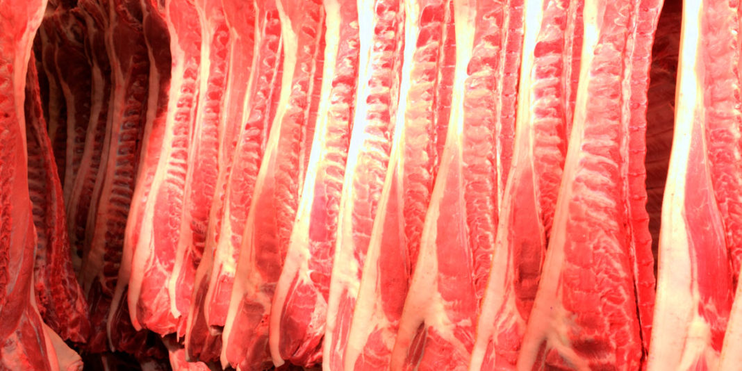 Estrategias Nutricionales Para Incrementar La Grasa Intramuscular Y La Calidad De La Carne De 3404