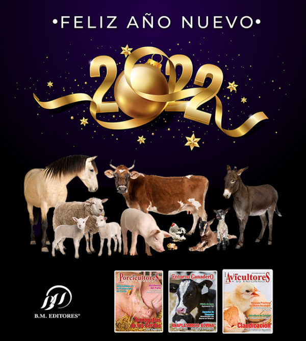 an%cc%83o-nuevo-21mailing