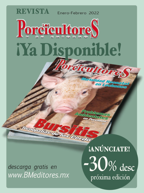 REVISTA DIGITAL ENE 22
