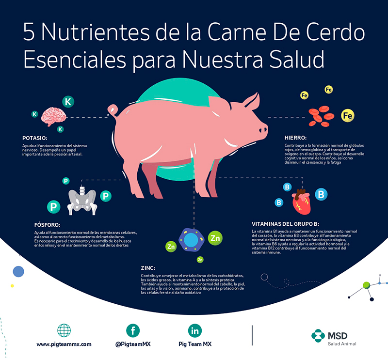 Carne de cerdo, elemento fundamental para una dieta saludable